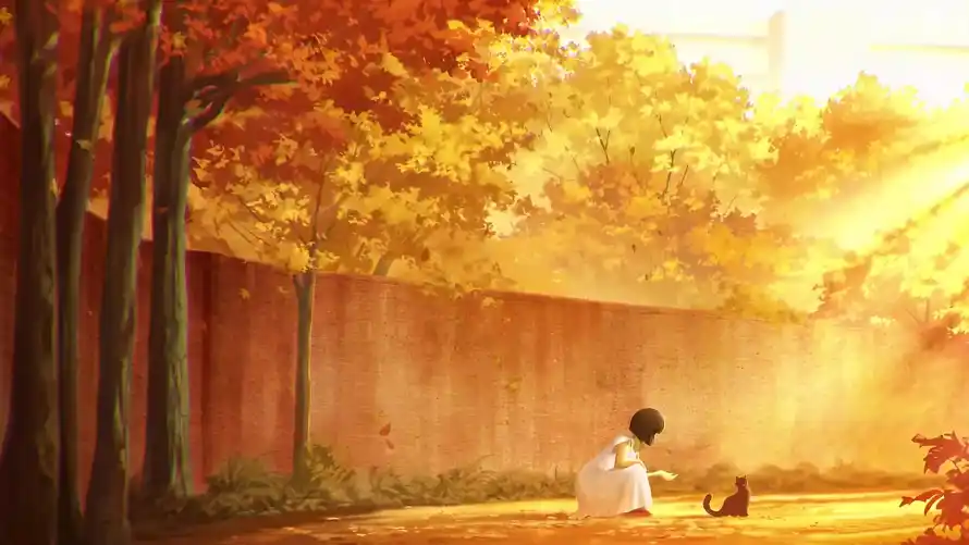 Favorite Image