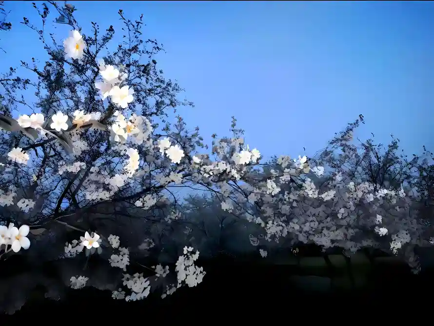 4k春日壁纸 - 树 - 花枝 - 蓝天「哲风壁纸」