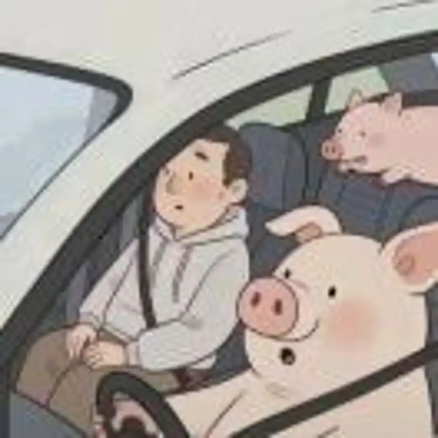 刘飞瓜🐱的头像