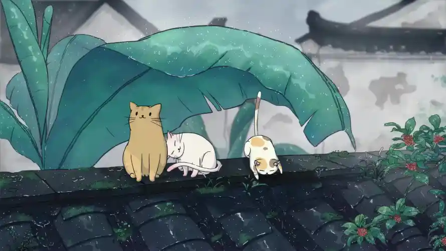 Favorite Image