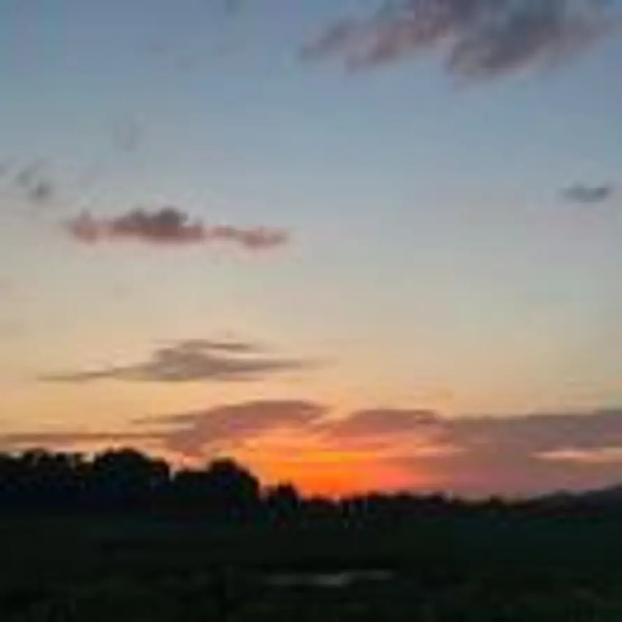 长乐未央的头像