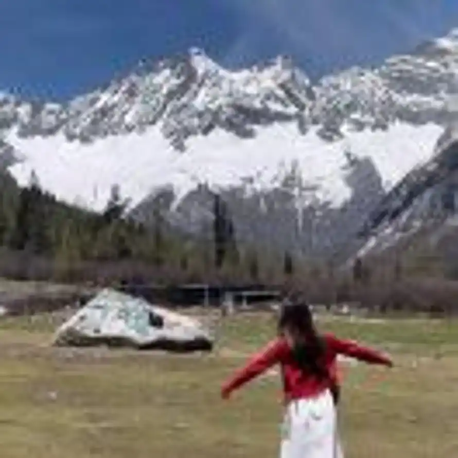 次次次草莓🍓的头像