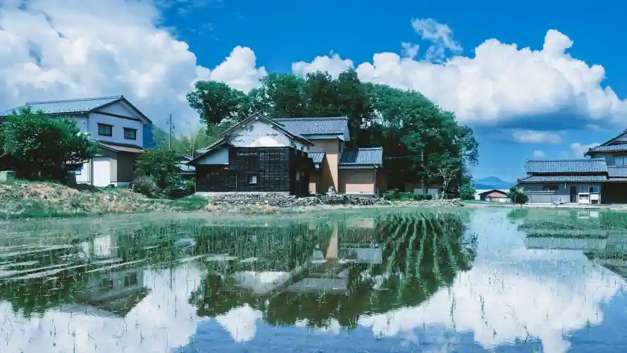 4k风景壁纸 - 乡村 - 热门壁纸 - wallpaper「哲风壁纸」