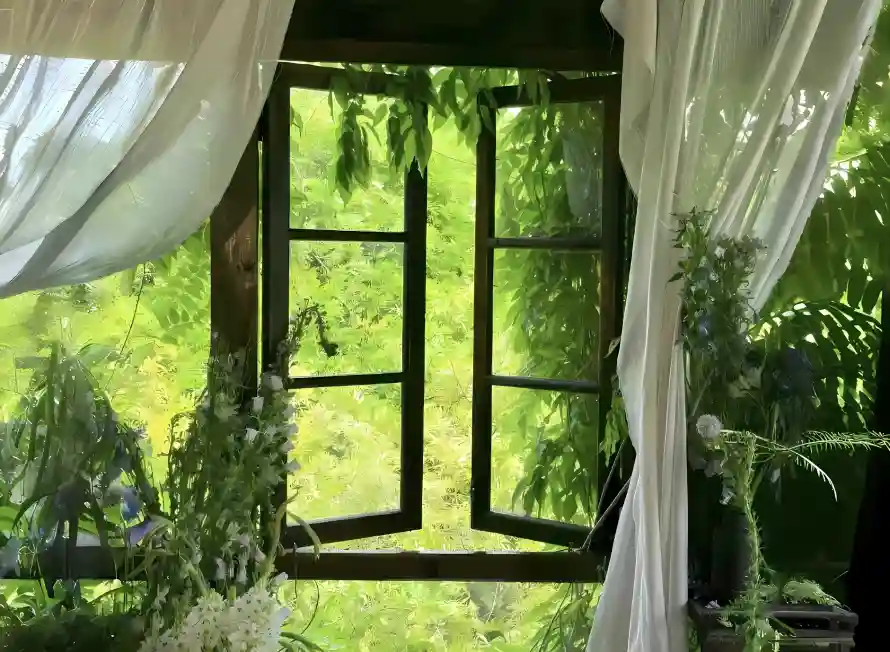 4k植物壁纸 - 清新 - 窗帘 - 窗户「哲风壁纸」 4k植物壁纸 - 清新 - 窗帘 - 窗户「哲风壁纸」