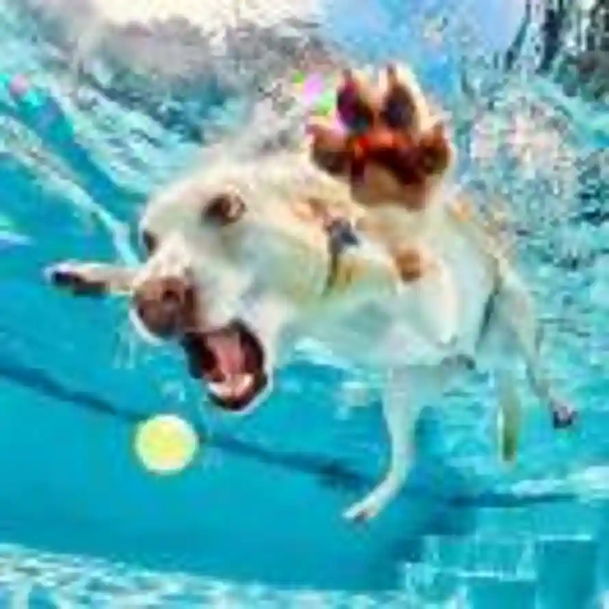 像风一样的头像