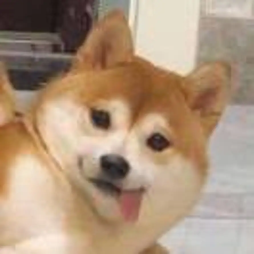 Shigyoku的头像
