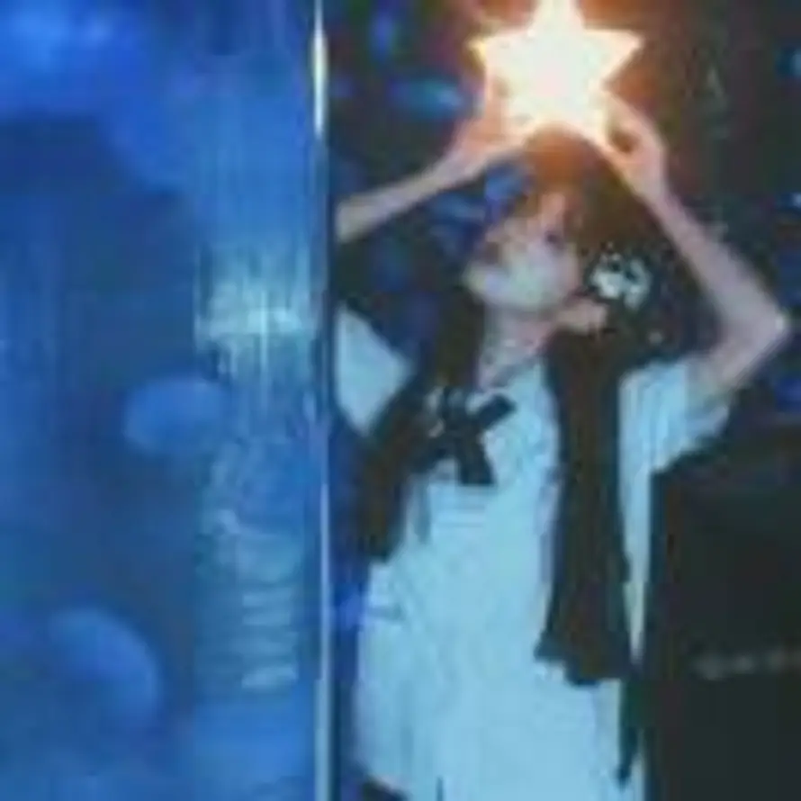 咚咚咚招财猪的头像