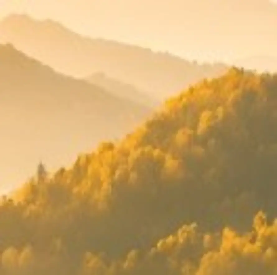 自动化电灯泡的用户头像 - 哲风壁纸