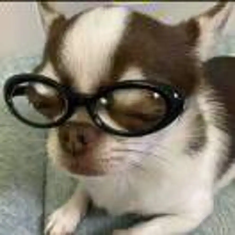 溪砚浸秋的头像