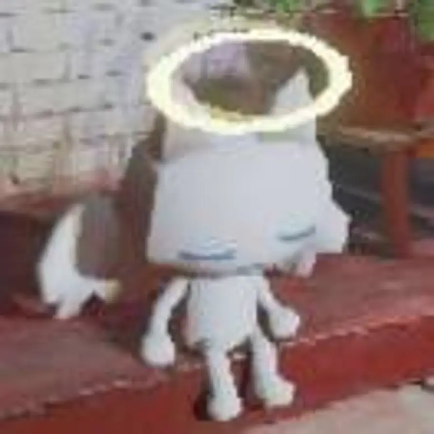 小雪小雪的头像