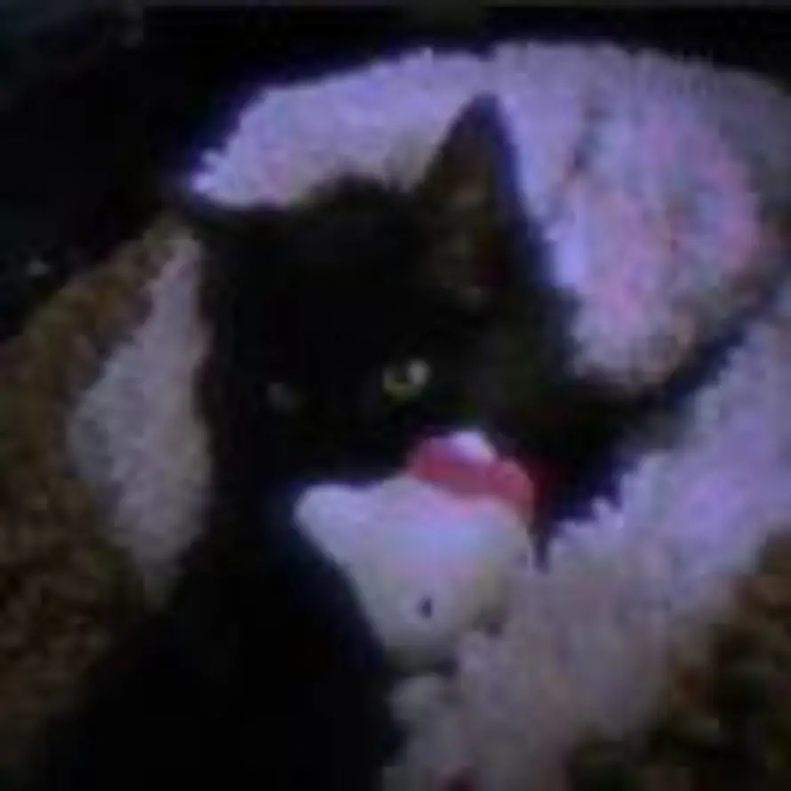 何包空空的头像