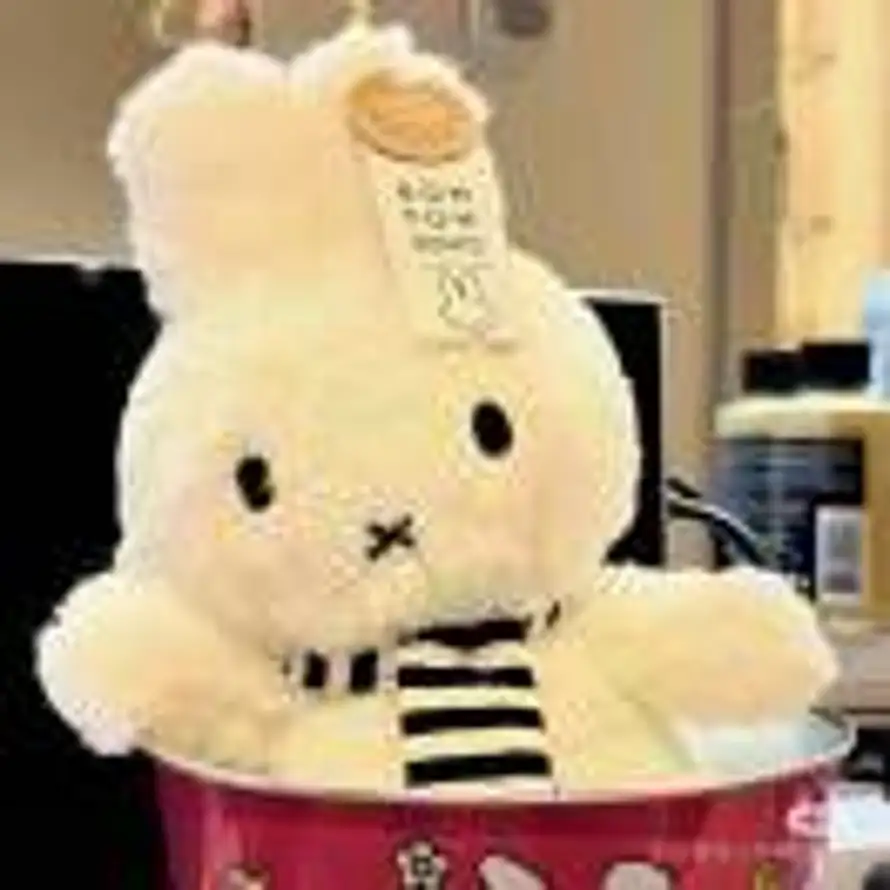 🐏枝甘露梦女的头像