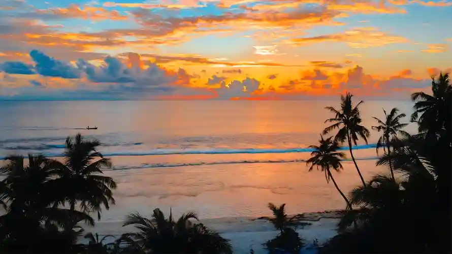 4k日落壁纸-椰子树壁纸和风景-热门的壁纸「哲风壁纸」