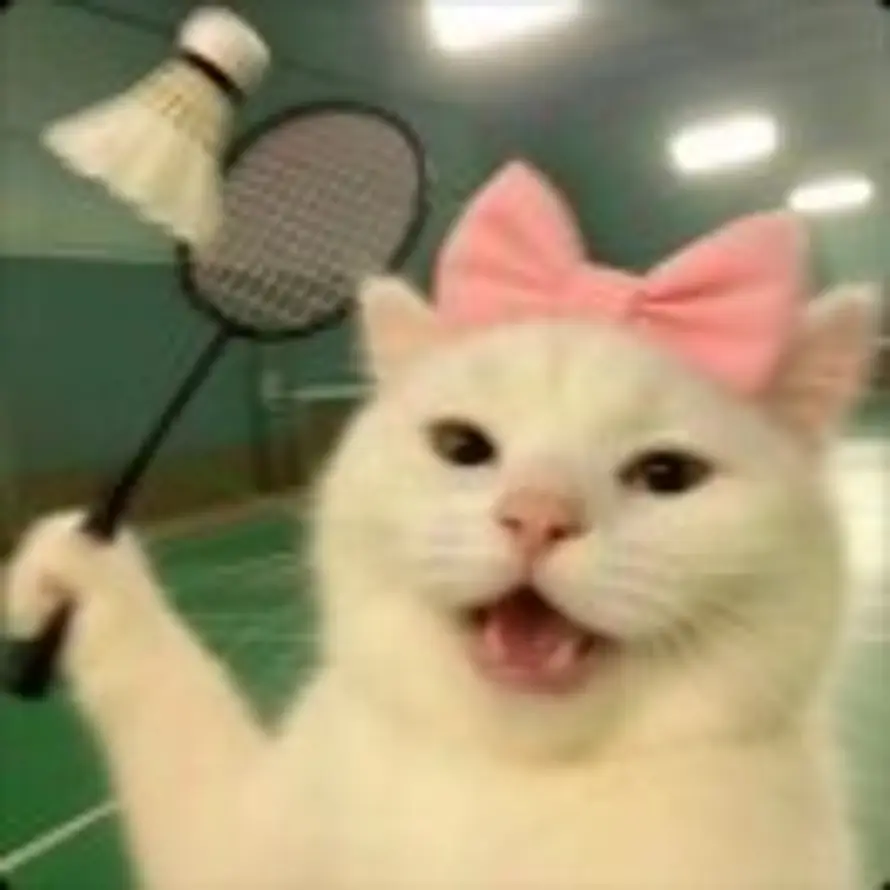 干休所的暴走蝴蝶老太的头像