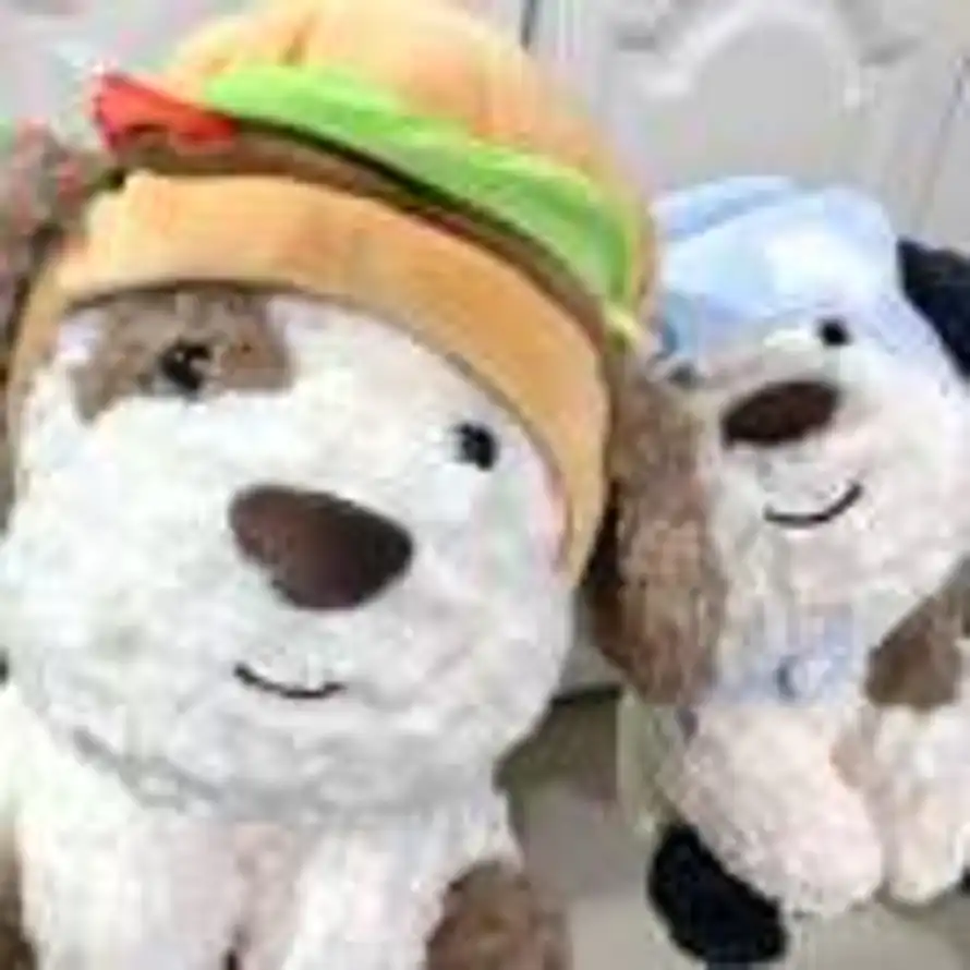 慵懒与猫.的头像