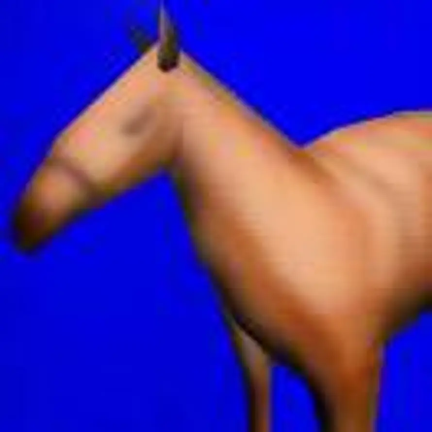 无法选中的头像