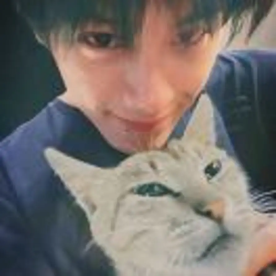 石圪节公社胡得禄的头像