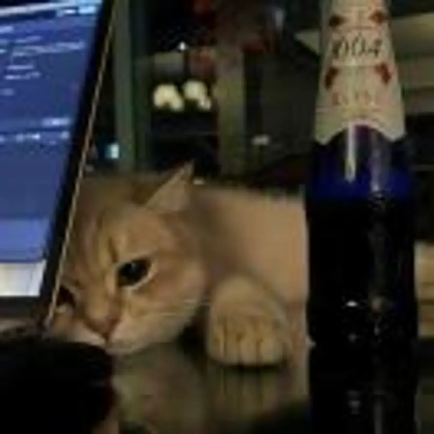 森林岛屿°的头像