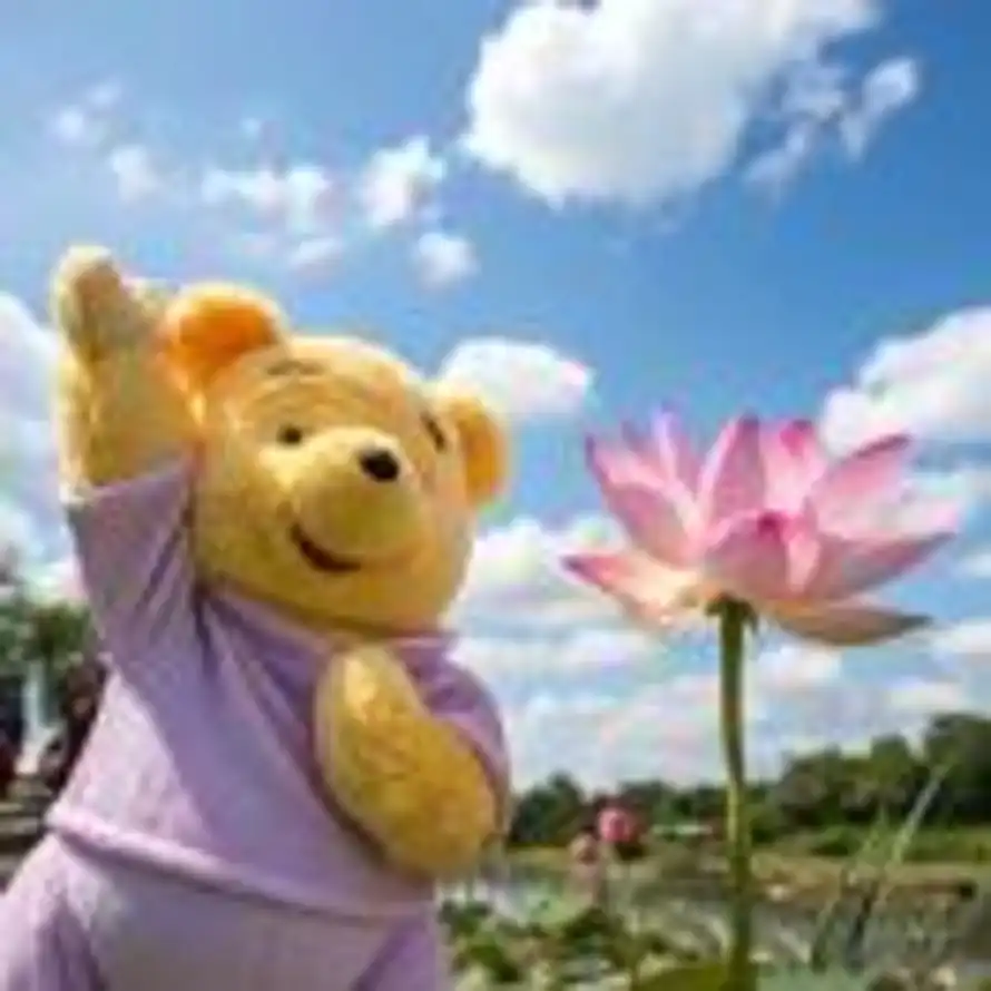 胡萝北🥕的头像