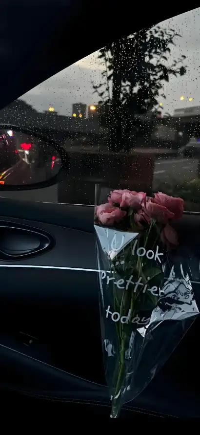 4k风景壁纸 - 深色系 - 粉色花 - 车内饰「哲风壁纸」