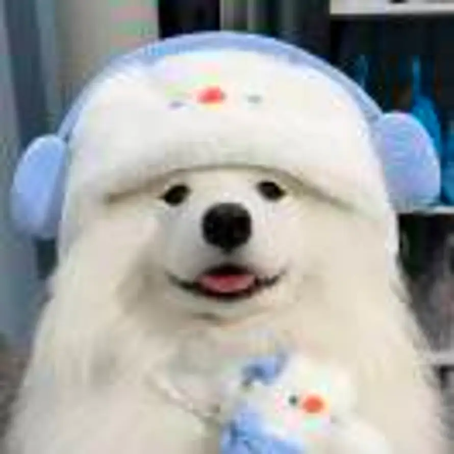 月亮降落点🌙的头像