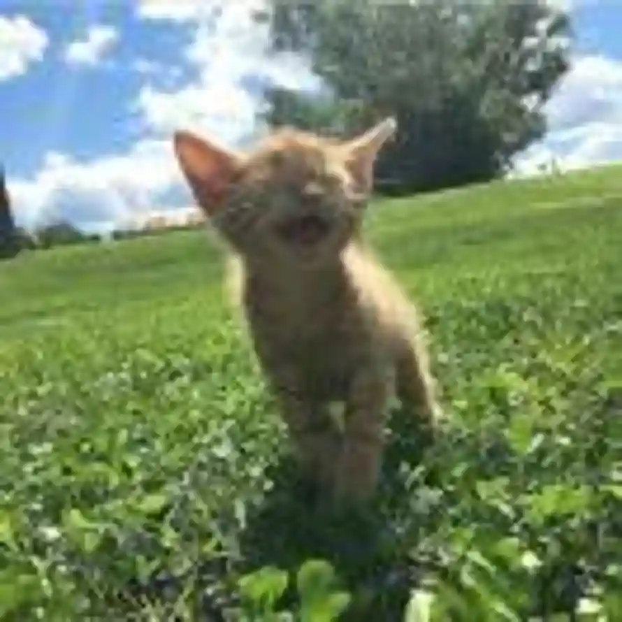 水分子游离在外的头像