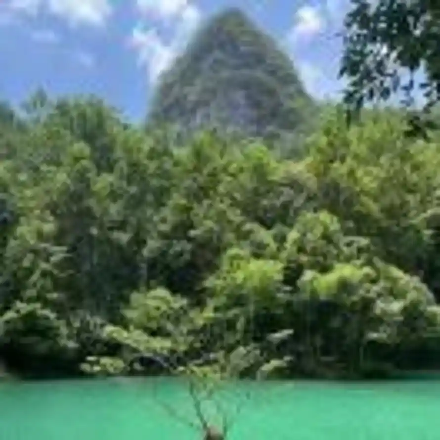 沐浴陈光的头像