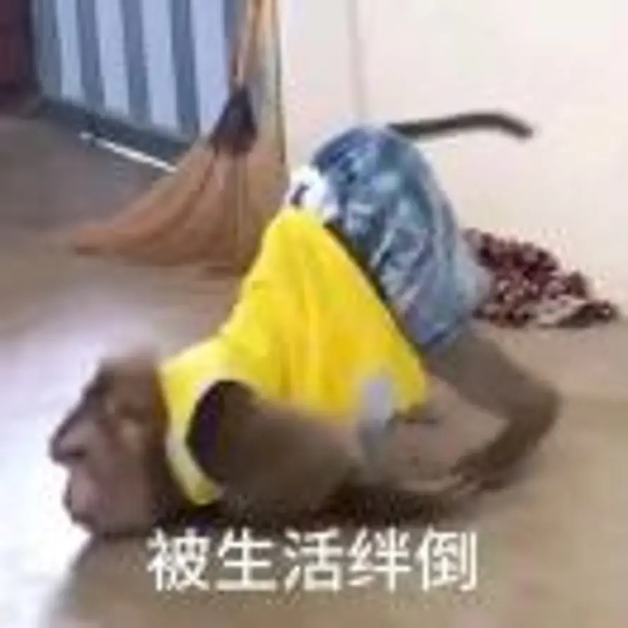 劝君莫惜花前醉。的头像