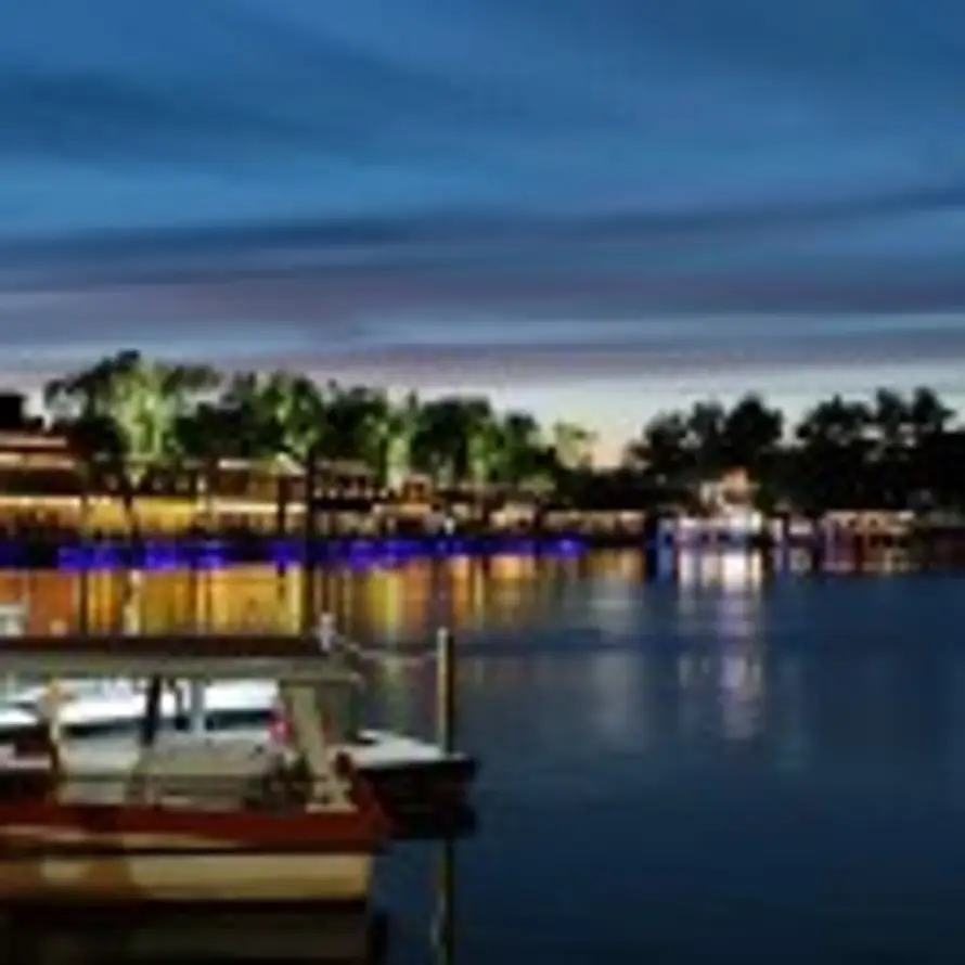 秋裤阿童木的头像