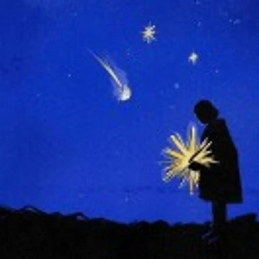 ToRi·Town的用户头像 - 哲风壁纸