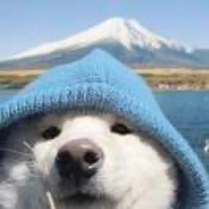 七里外搁浅的枫的头像