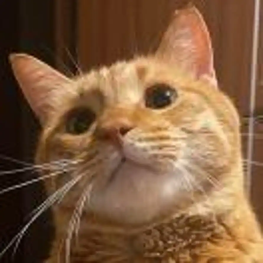 摩诃衍那的头像