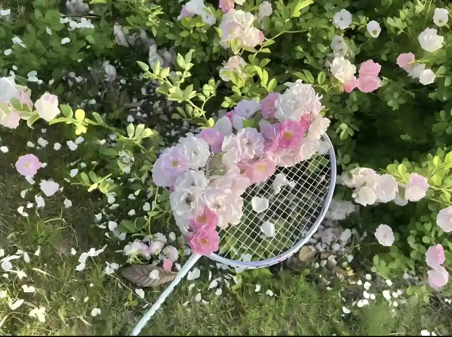 4k球拍壁纸 - 绿草 - 花丛 - 粉色花「哲风壁纸」 4k球拍壁纸 - 绿草 - 花丛 - 粉色花「哲风壁纸」