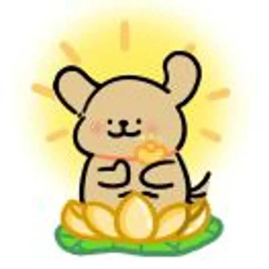 滨州润达杨超19963118413的头像