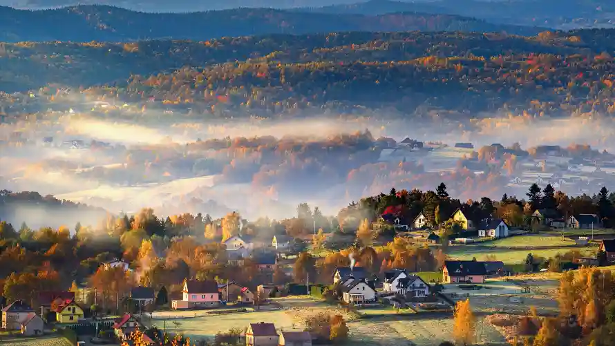 4k乡村壁纸 - 晨雾 - 树林 - 秋景「哲风壁纸」 4k乡村壁纸 - 晨雾 - 树林 - 秋景「哲风壁纸」