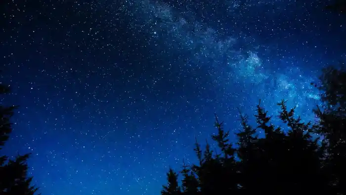 雪落青砚的头像