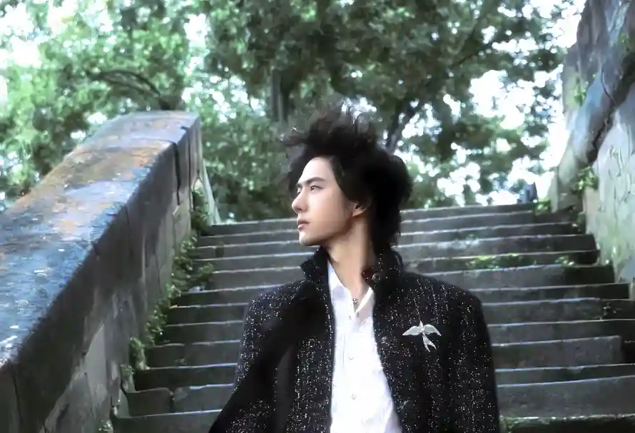 4k外套壁纸 - 户外 - 明星 - 树木「哲风壁纸」 4k外套壁纸 - 户外 - 明星 - 树木「哲风壁纸」