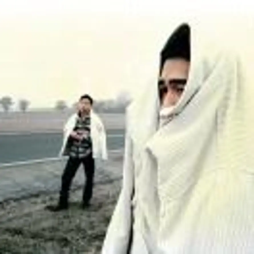 cat_rina🐑的头像