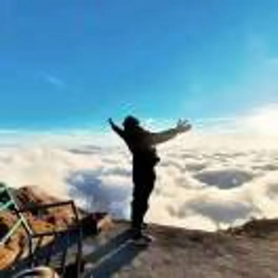 向阳而生。的头像