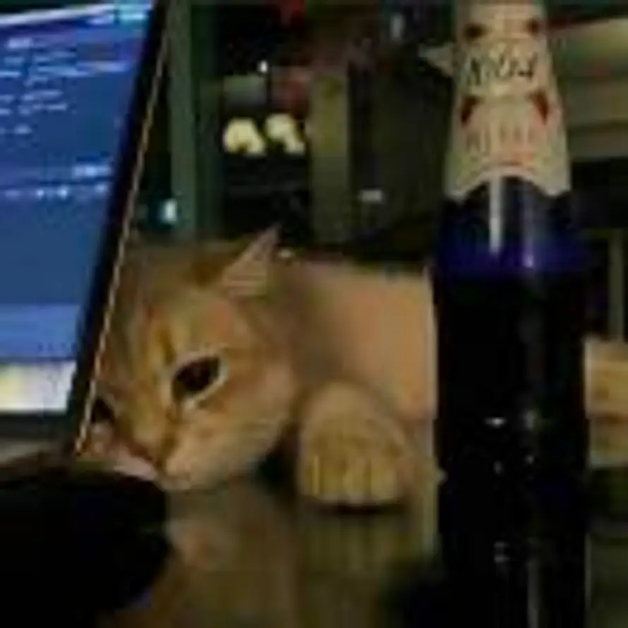 青衫忆笙的头像