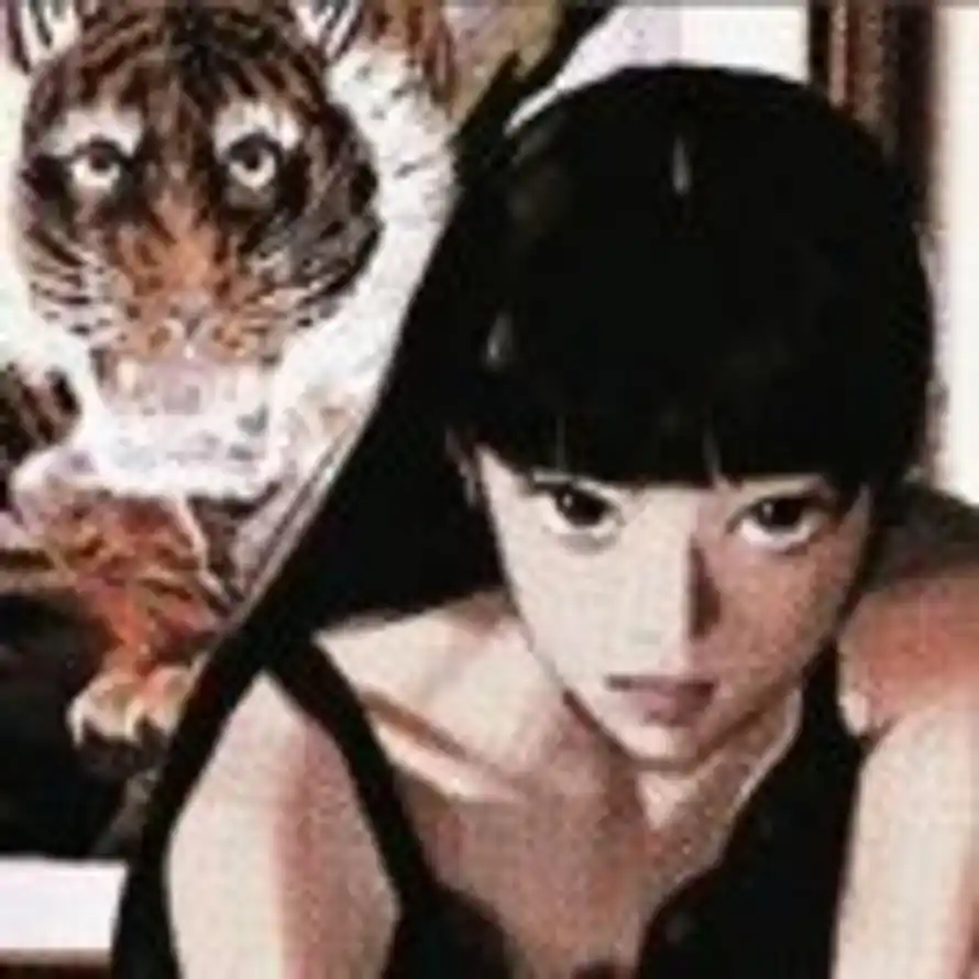 能猫🐼杰克的头像