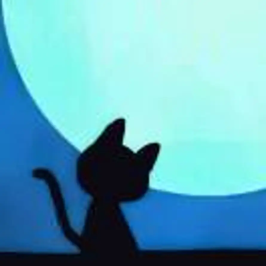 东润优选15791790828的头像