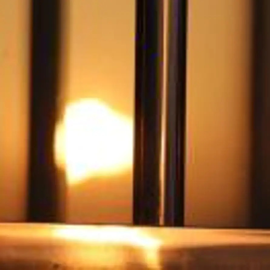 静夜风起的头像