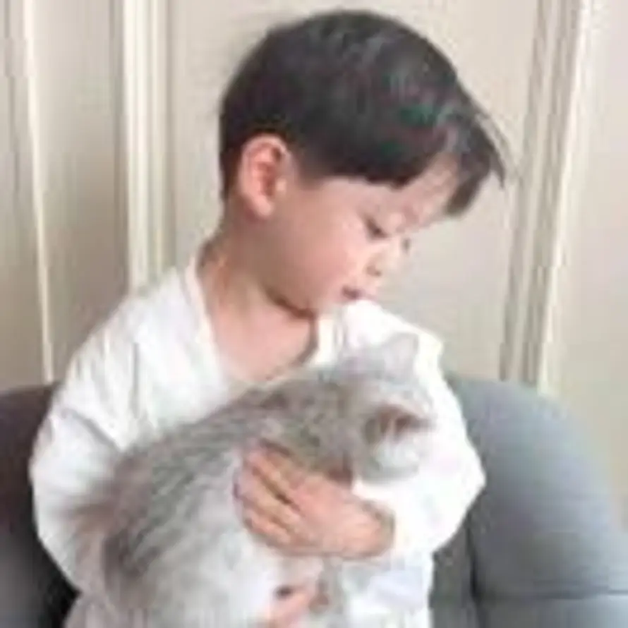 西西年明月的头像