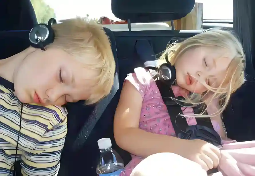 4k欧美壁纸 - 车上 - 小鬼当家 - wallpaper「哲风壁纸」