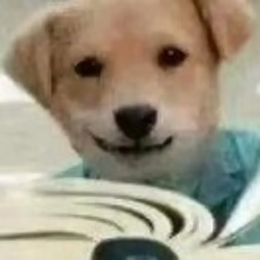 布灵布灵的头像