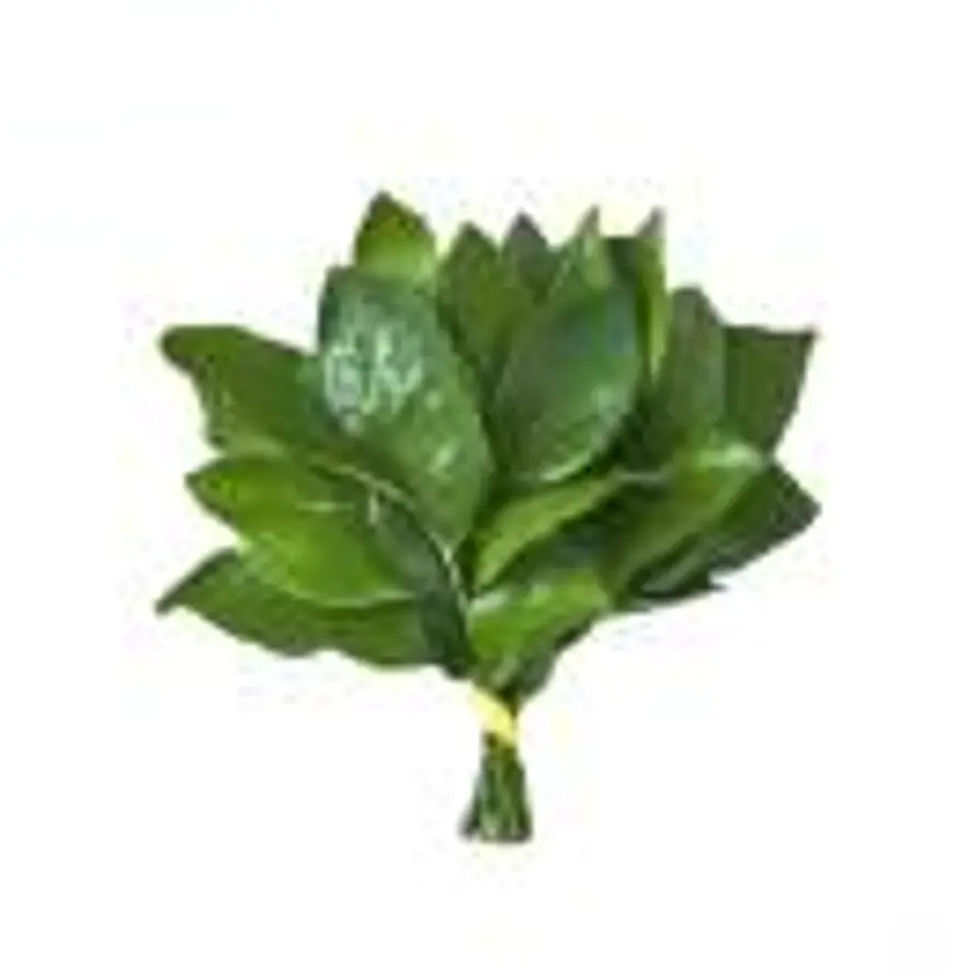 来点薯条ovo的头像