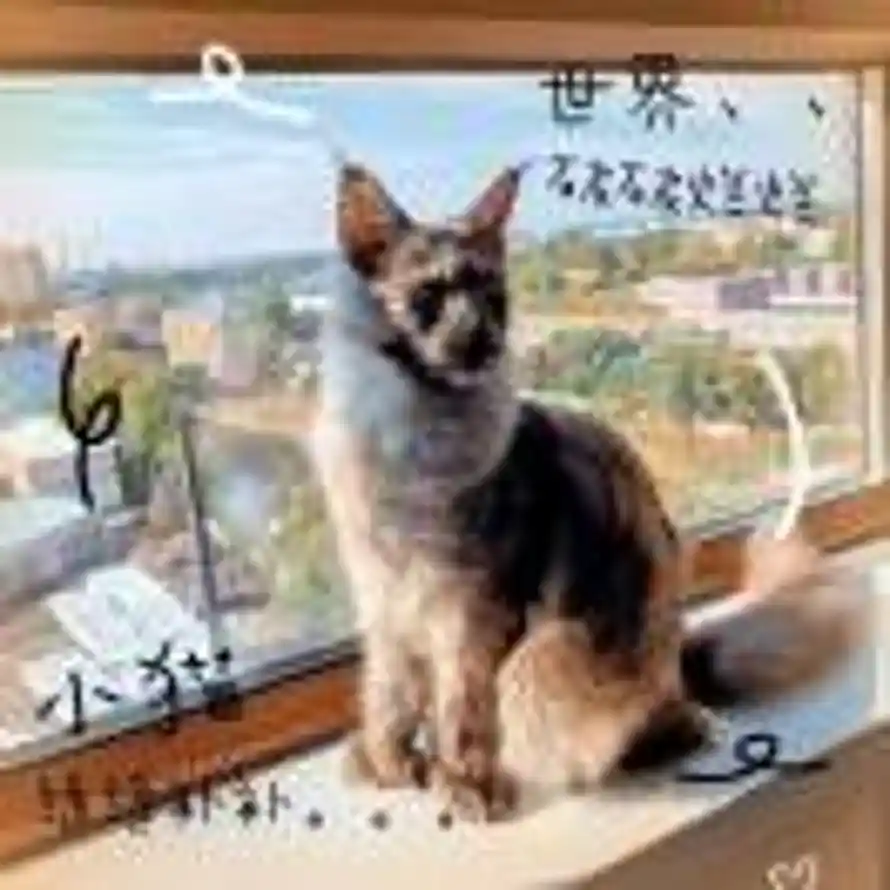 十᳐一᳐೨的头像