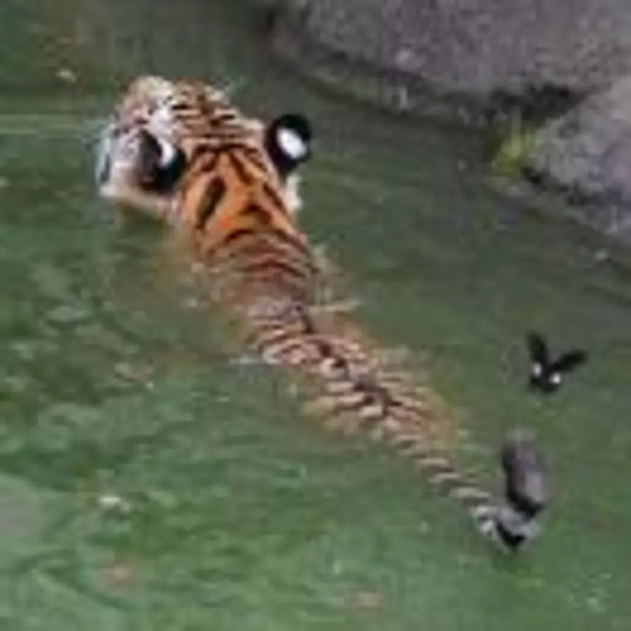 秦牛爱花的头像