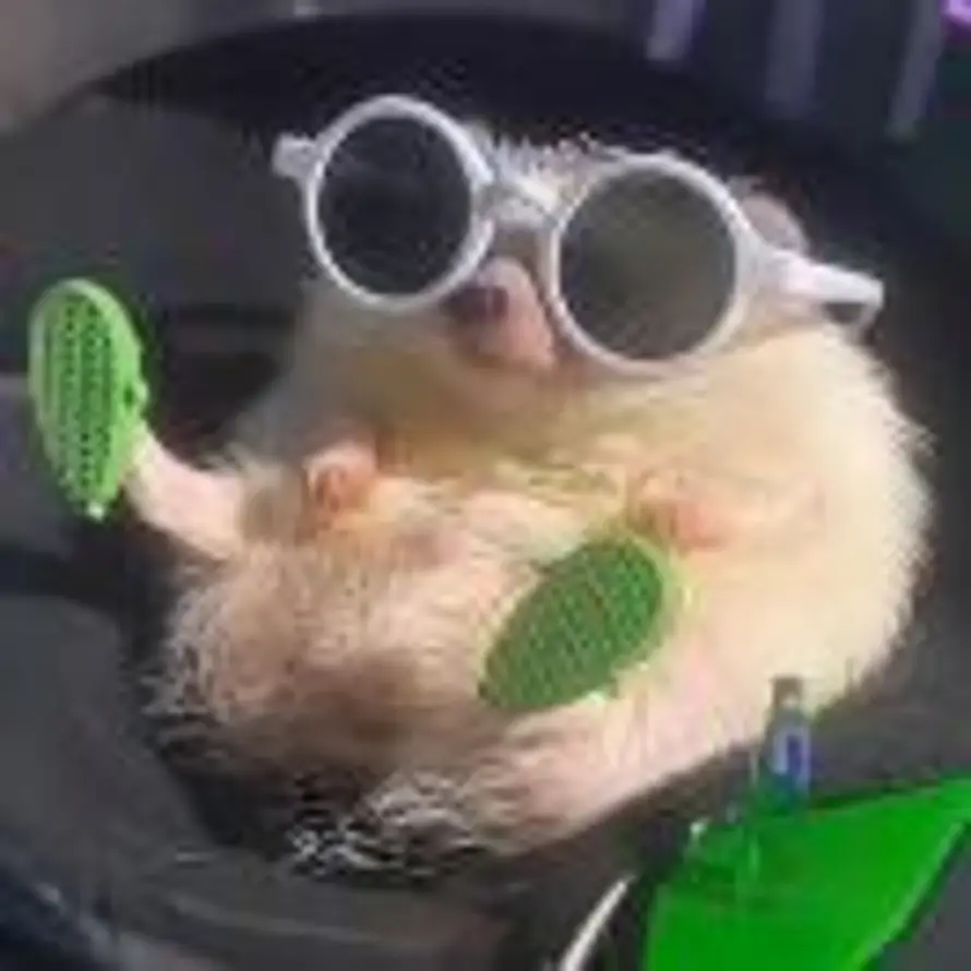 可燃冰🧊的头像